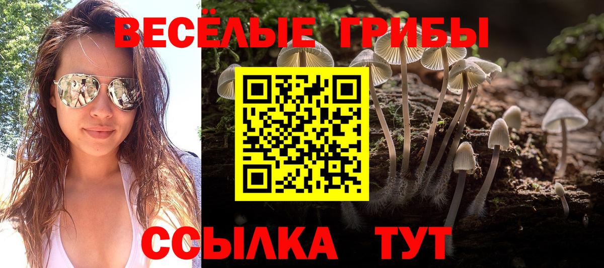Галлюциногенные грибы Magic Shrooms Ейск