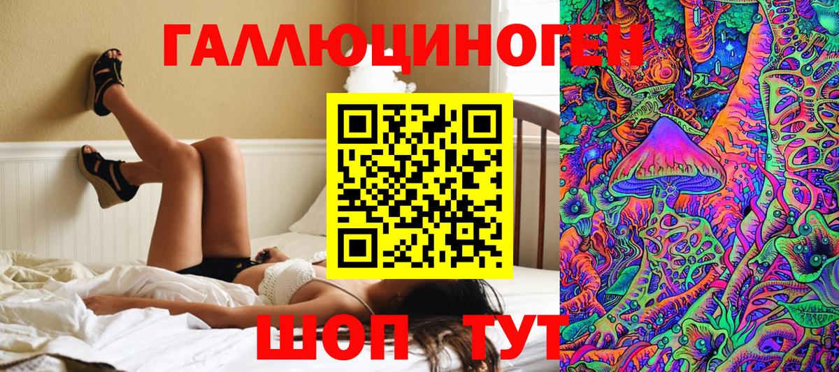 Галлюциногенные грибы Psilocybe  Вход с VPN  Галлюциногенные грибы Psilocybine cubensis  Ейск 